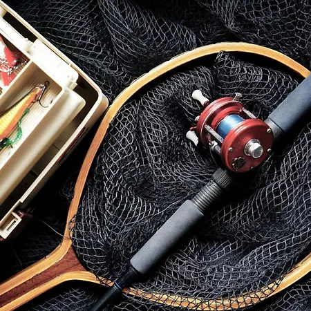 En Plein Centre Des Vans
